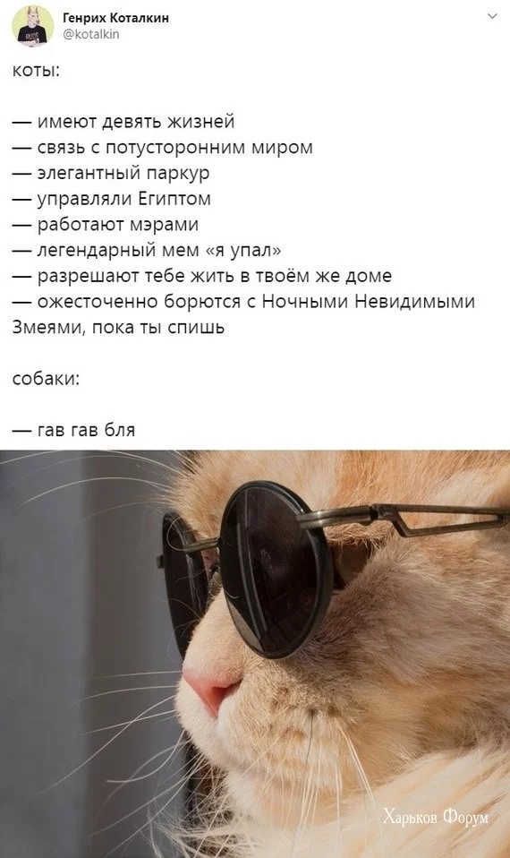 af4ade7fa1fc558452e.webp