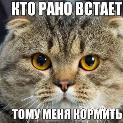 af585dee42e99684bcd57644.webp