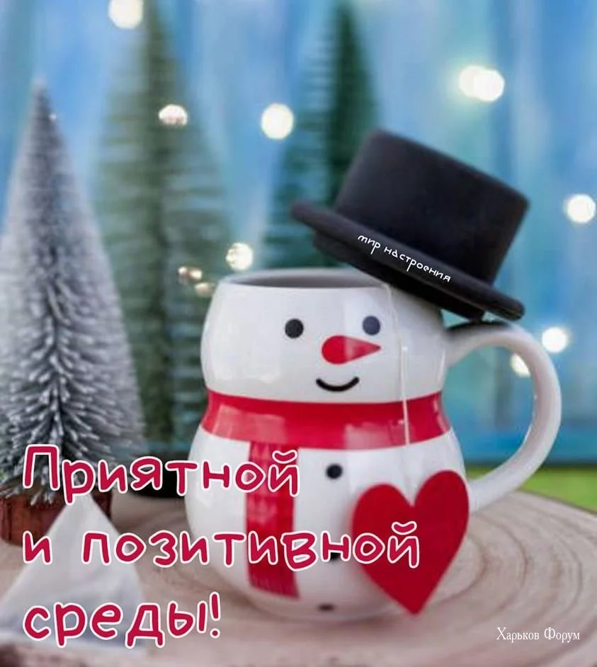 af799da9f437a274ffe9.webp