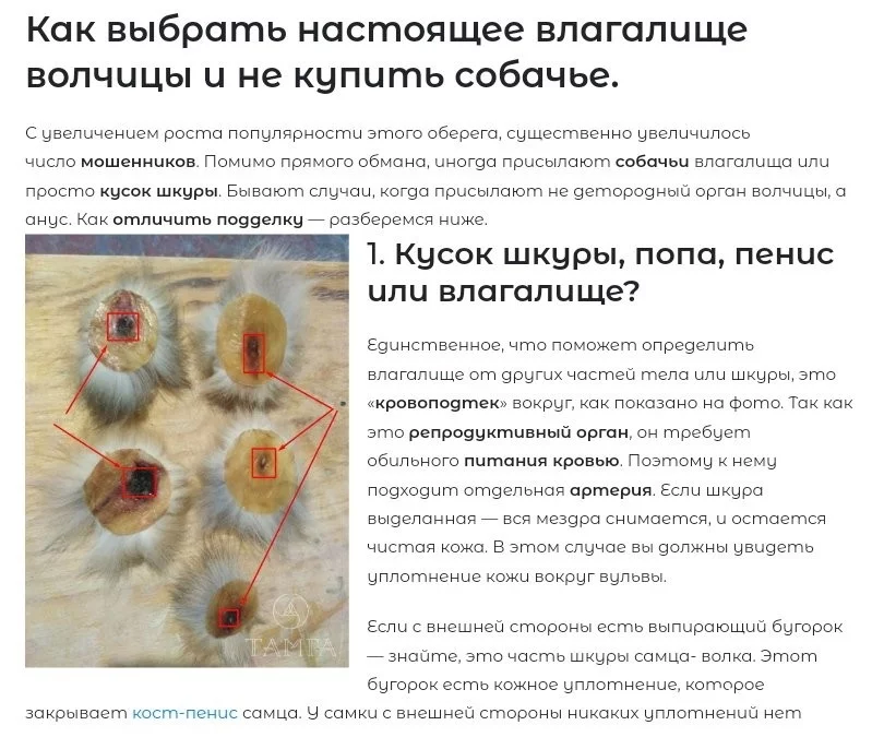 af877bdf7c6ed9da910cc.webp
