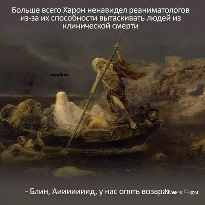 af8c3f3544b477c11208.webp