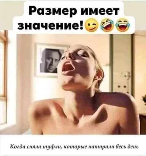 afaa00bbaeb2bda1a443c.webp