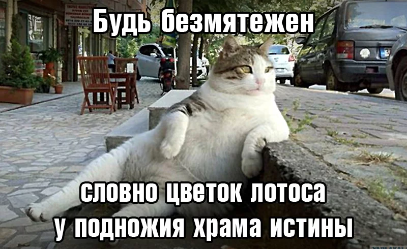 afaj0g.webp