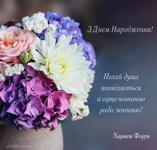afb31eb25024a101fa39aa0.webp
