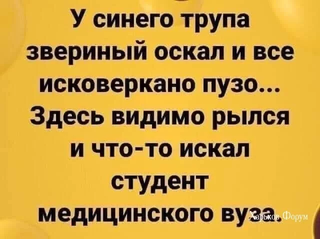 afc0710e4c5493e90.webp