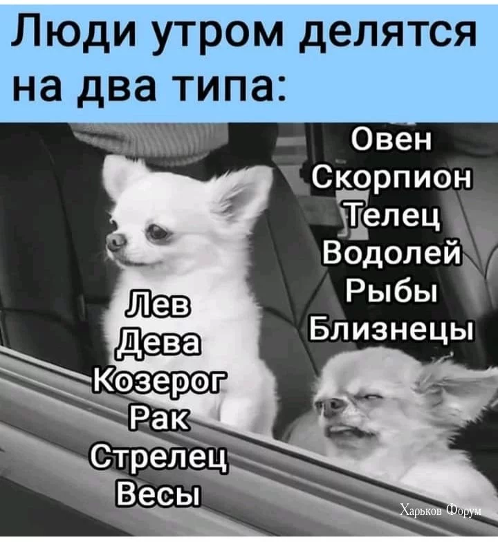 afdadb7834f76d1f25dc.webp