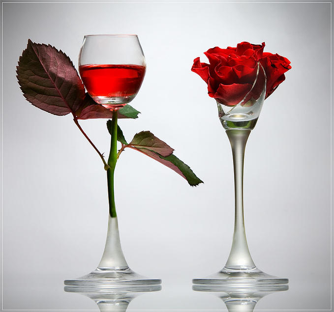 afefd996ea3ad1fb0fb276c6e2e8f773.jpg