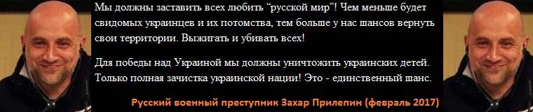 aff1hc.webp