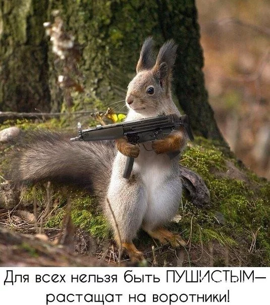 affb63fb1ae57c9a2350d1ab.webp