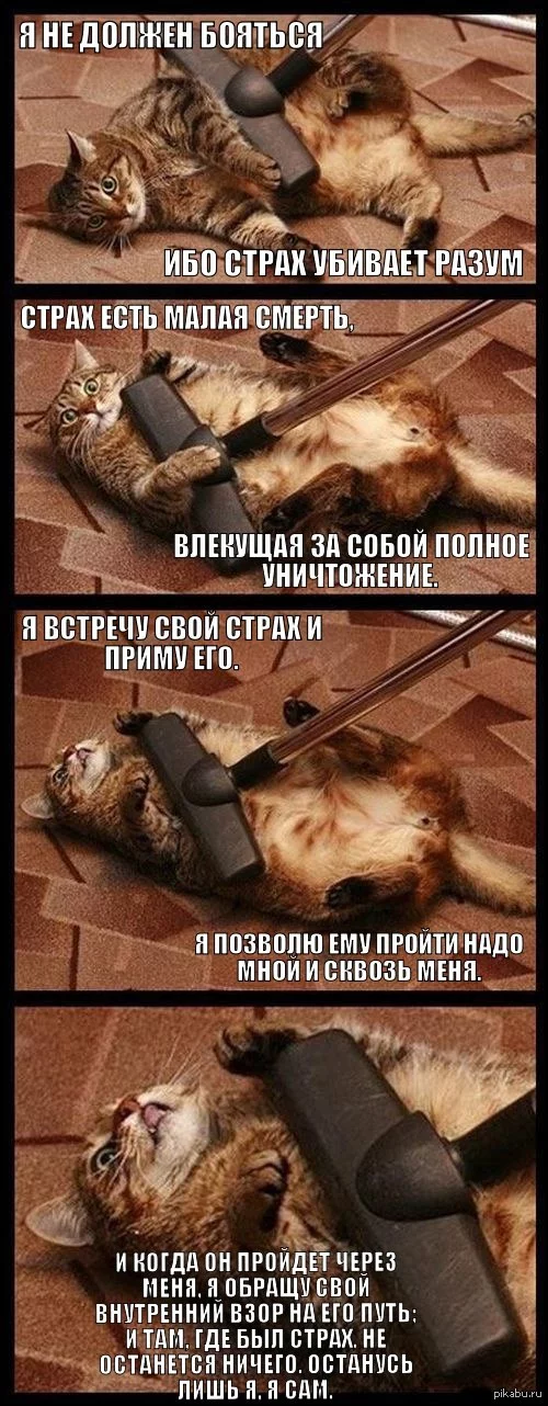 affed5.webp