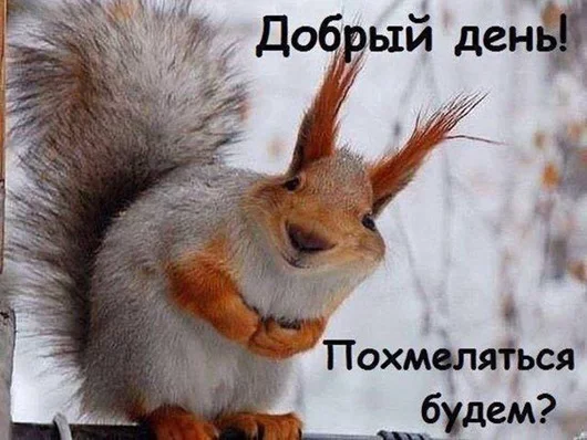 affee5.webp
