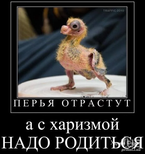 affef2eae2fd097f0.webp
