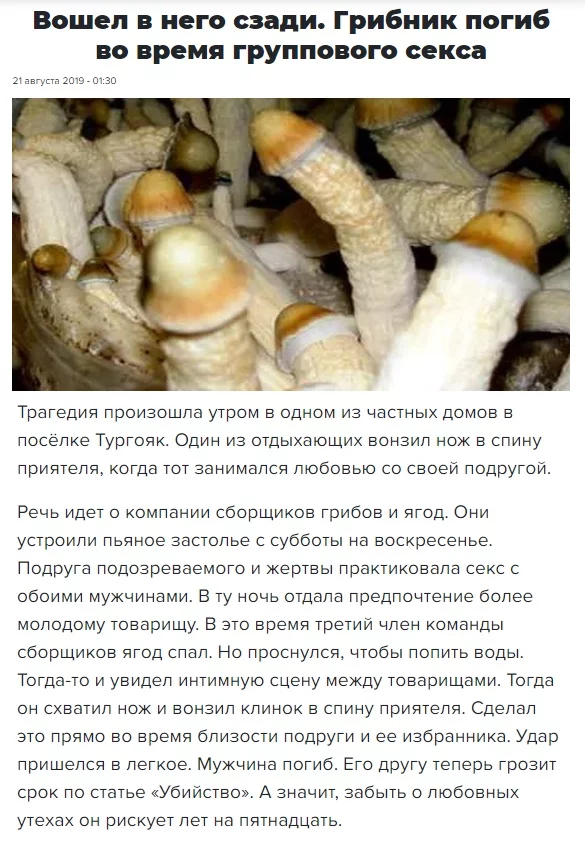 afgce5.webp