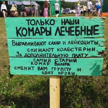 afh4ag.webp