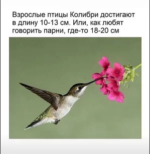 afh6da.webp