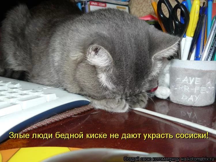 afjh5j.webp