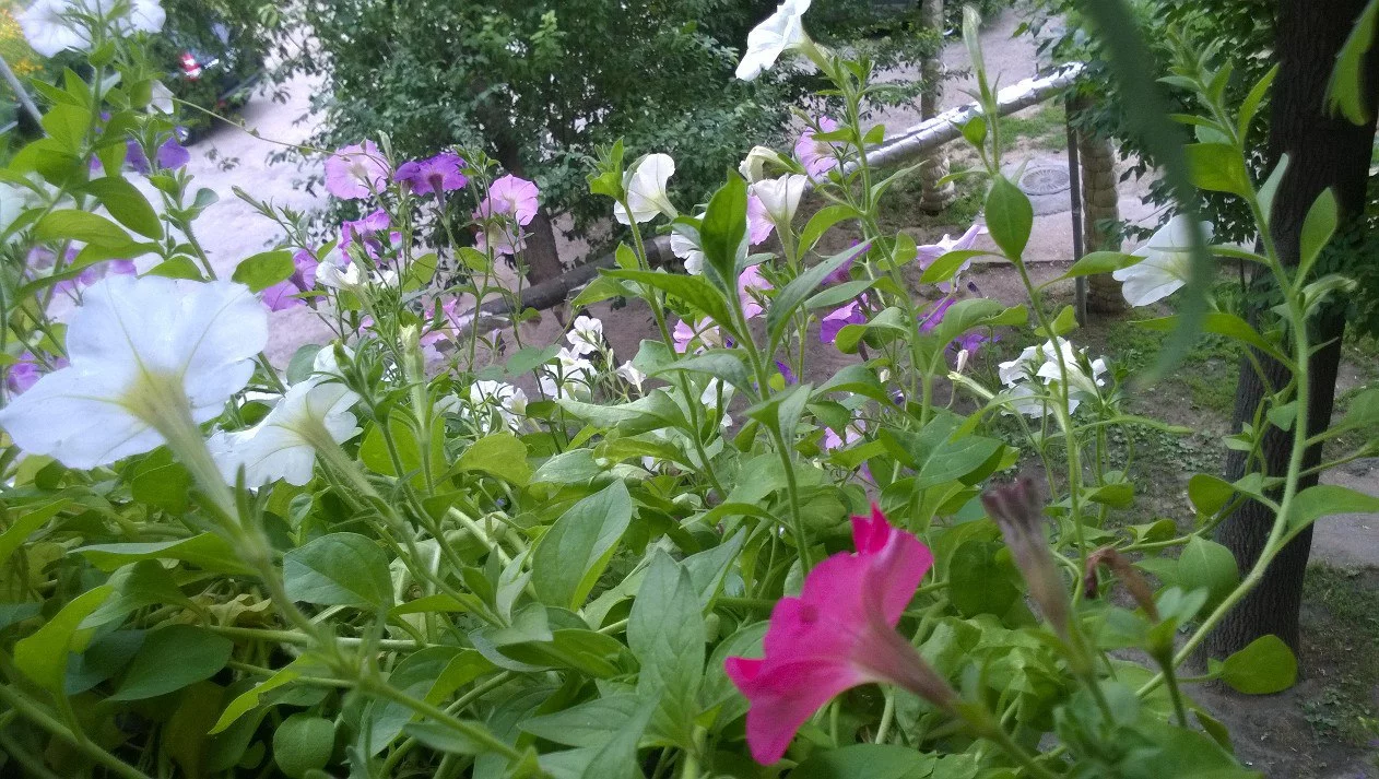AFyAsTJ_HaI.webp