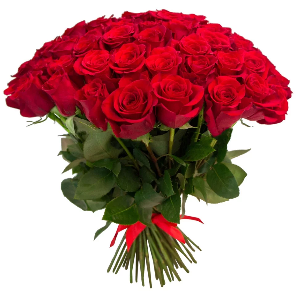 ag1bgd.webp