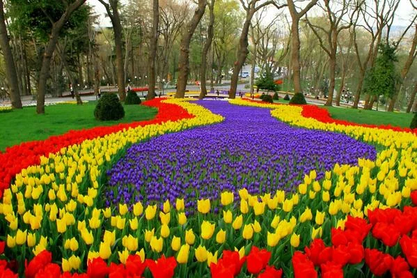 ag1fhd.webp