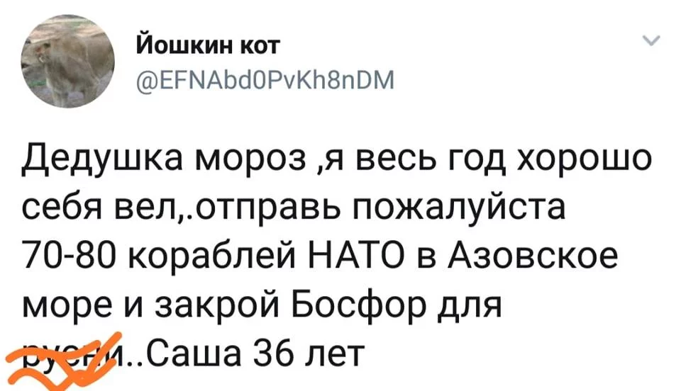 ag7jcd.webp
