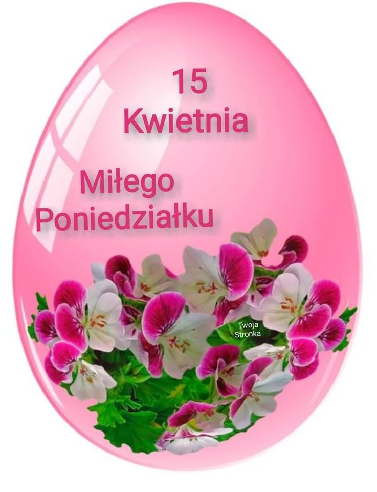 ag8djb.webp