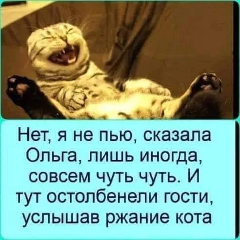 agc3jb.webp