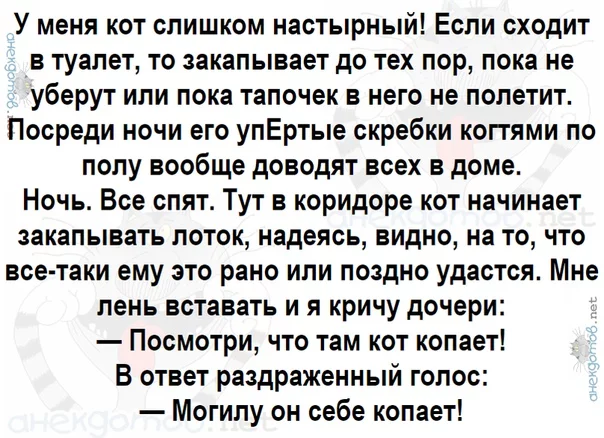 agc8ac.webp