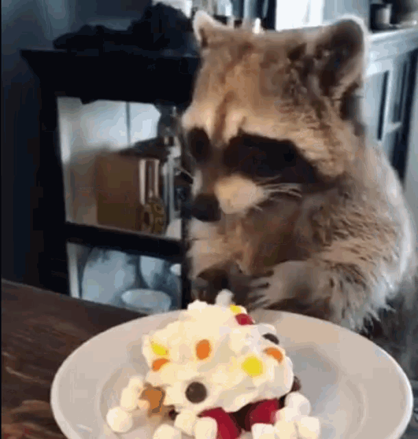 agcdc7.gif