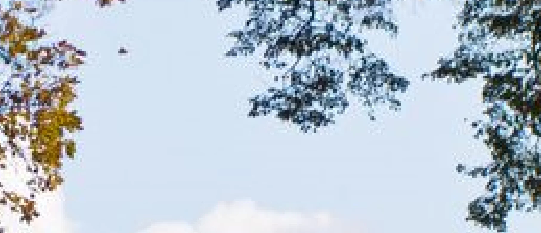 agcg9j.webp