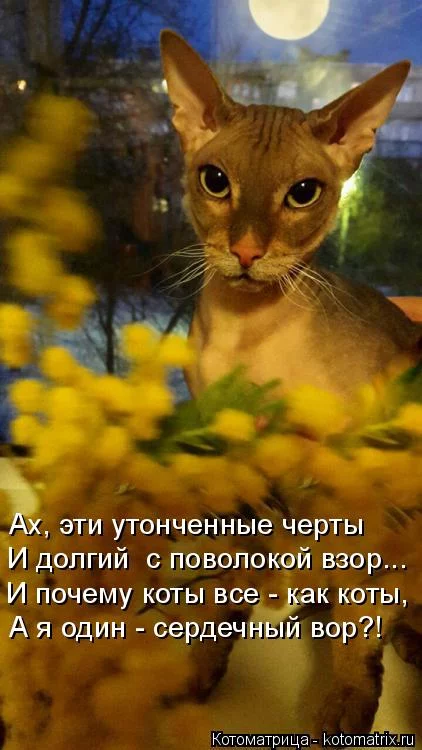 agd0cg.webp