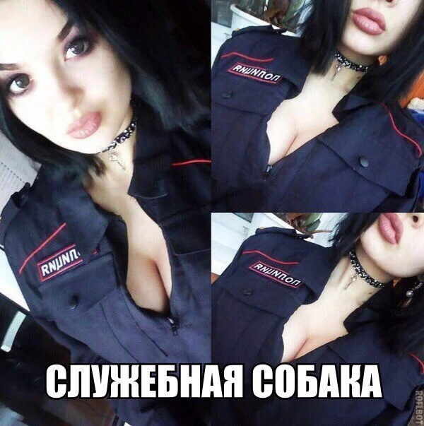 agf7dg.webp