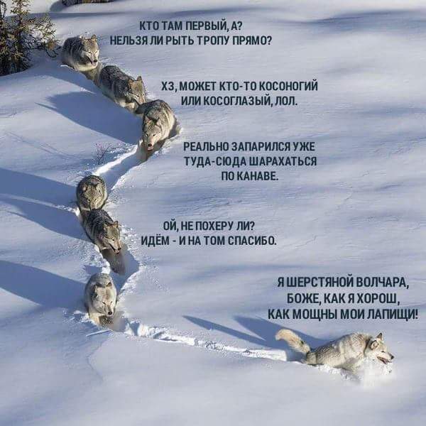 aggjg0.jpg