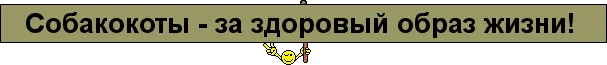 agh0eh.webp