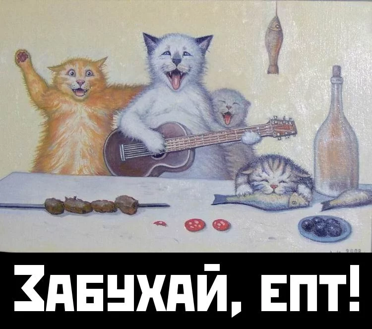 agh6af.webp