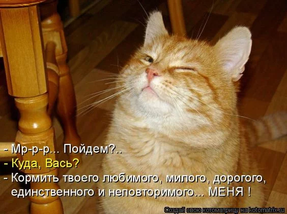 aghe5h.webp
