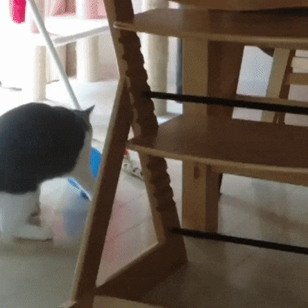 agj8ea.gif