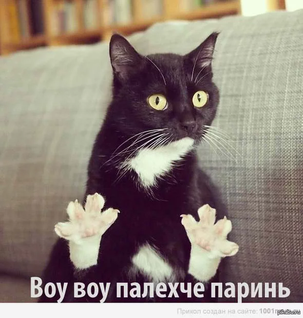 agjj0g.webp