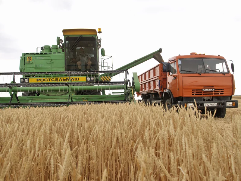 Agriculture_in_Volgograd_Oblast_001.webp