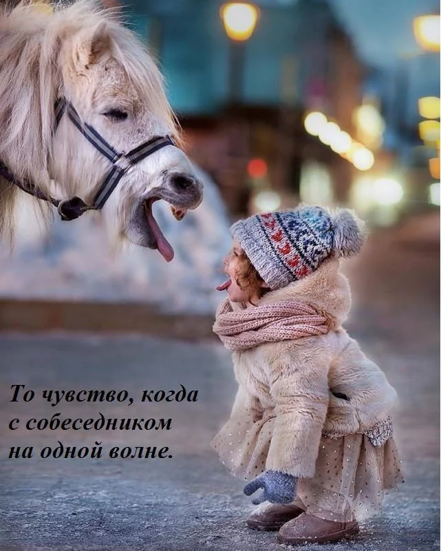 ah1add.webp