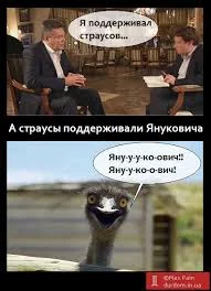 ah2ffg.webp