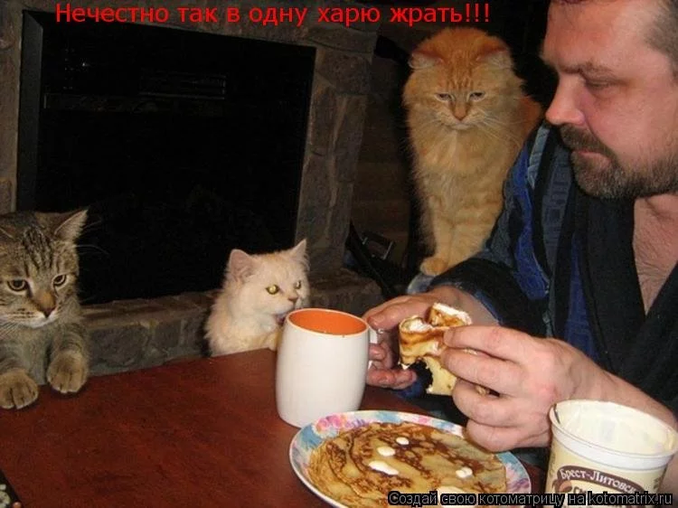 ah8hce.webp