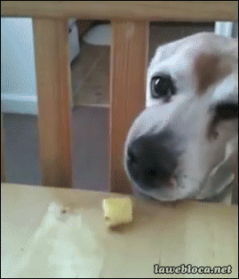 ahah5b.gif