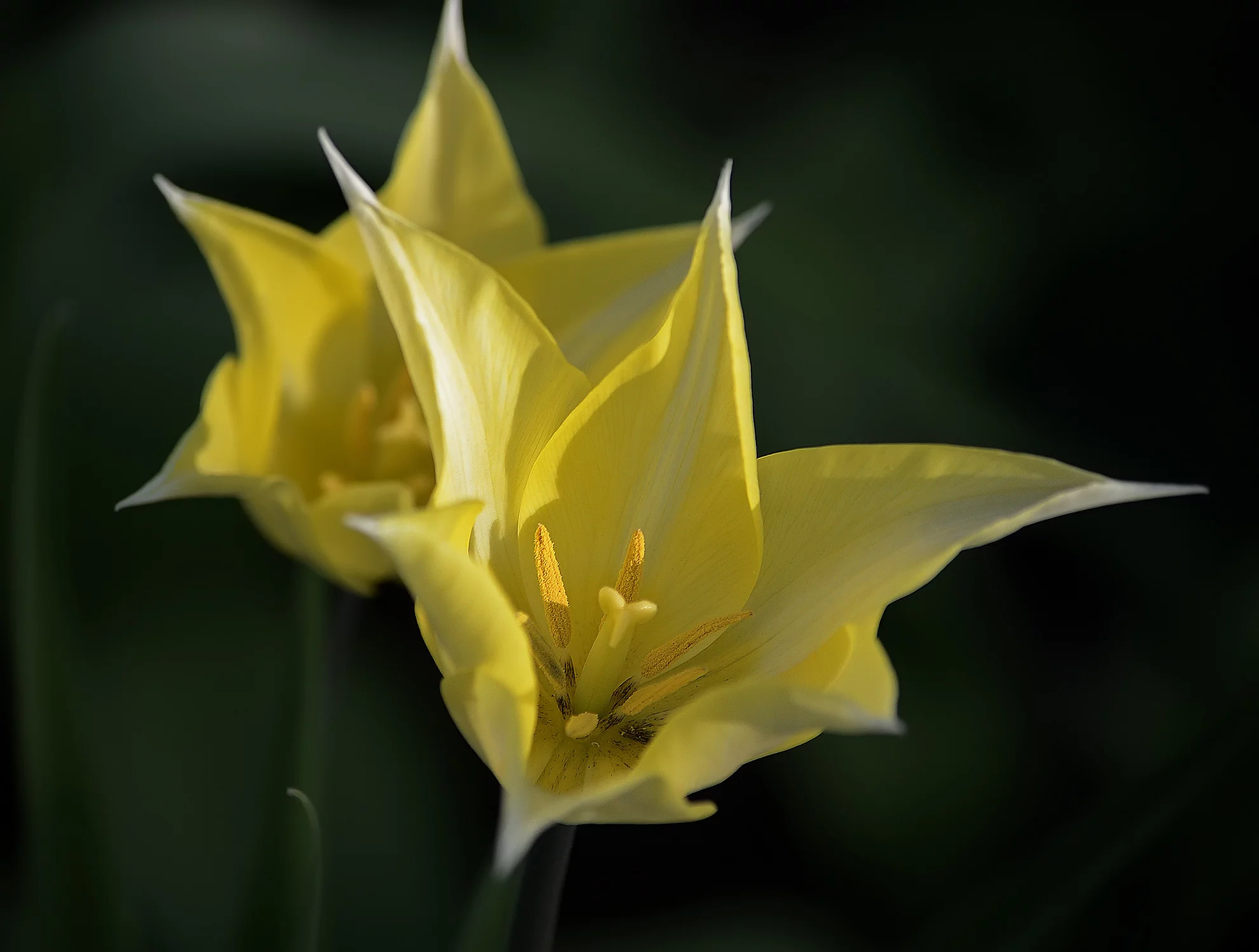 ahch4h.webp