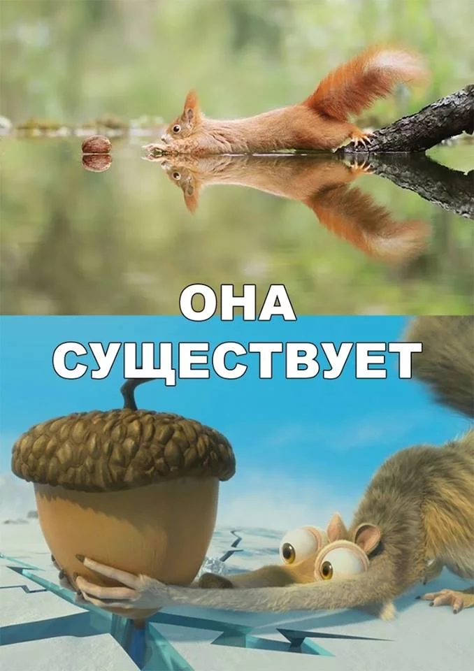 ahdbb6.webp