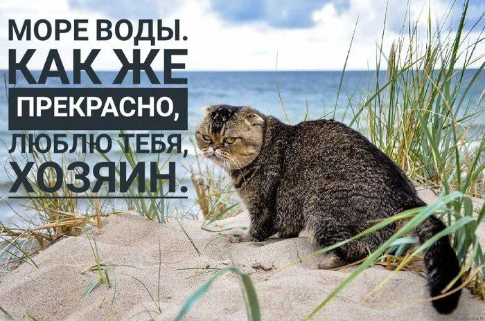 ahf4ae.webp