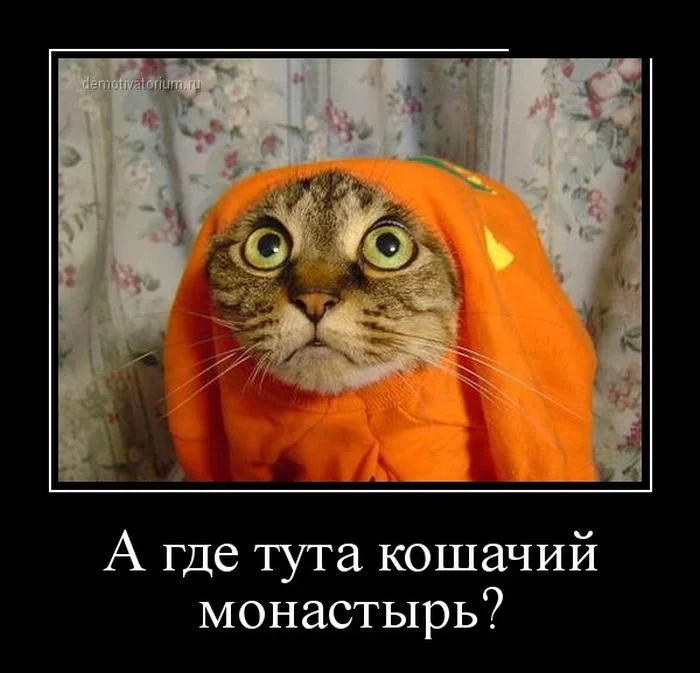 ahfj1h.webp