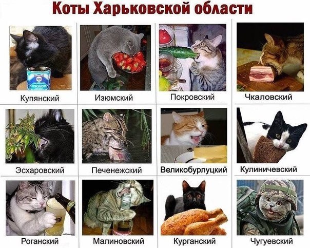 AilyuqsC96M.jpg