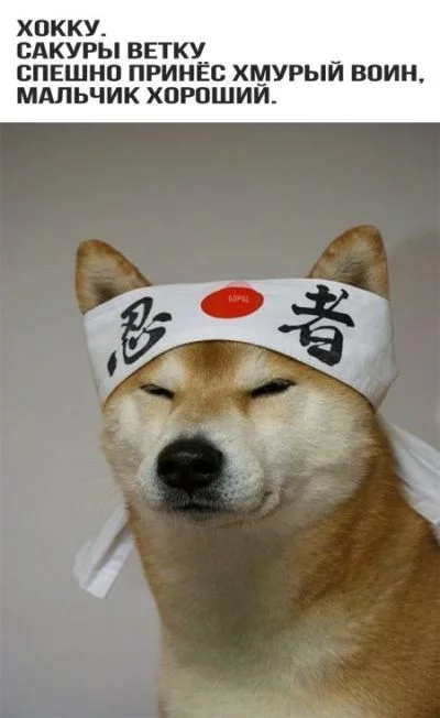 aj6ede.webp