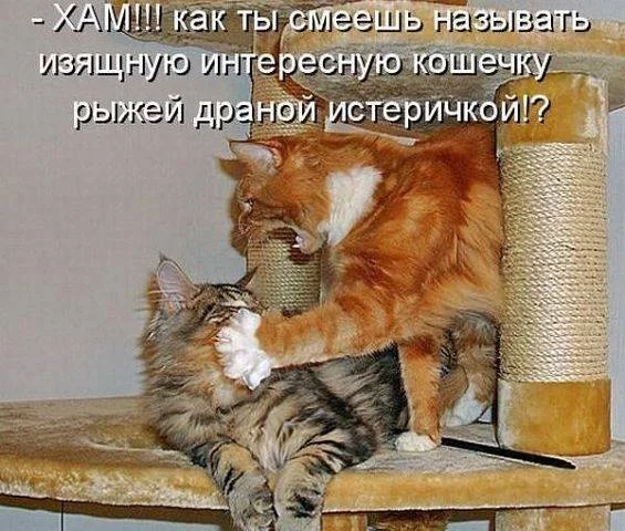 ajad0e.webp