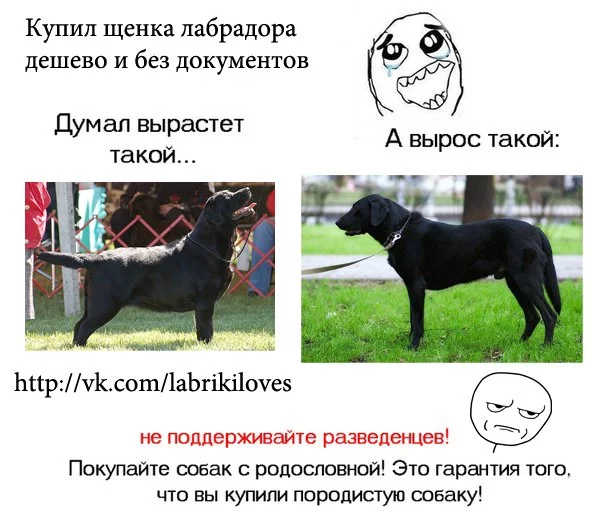 ajaibcMYUNk.webp